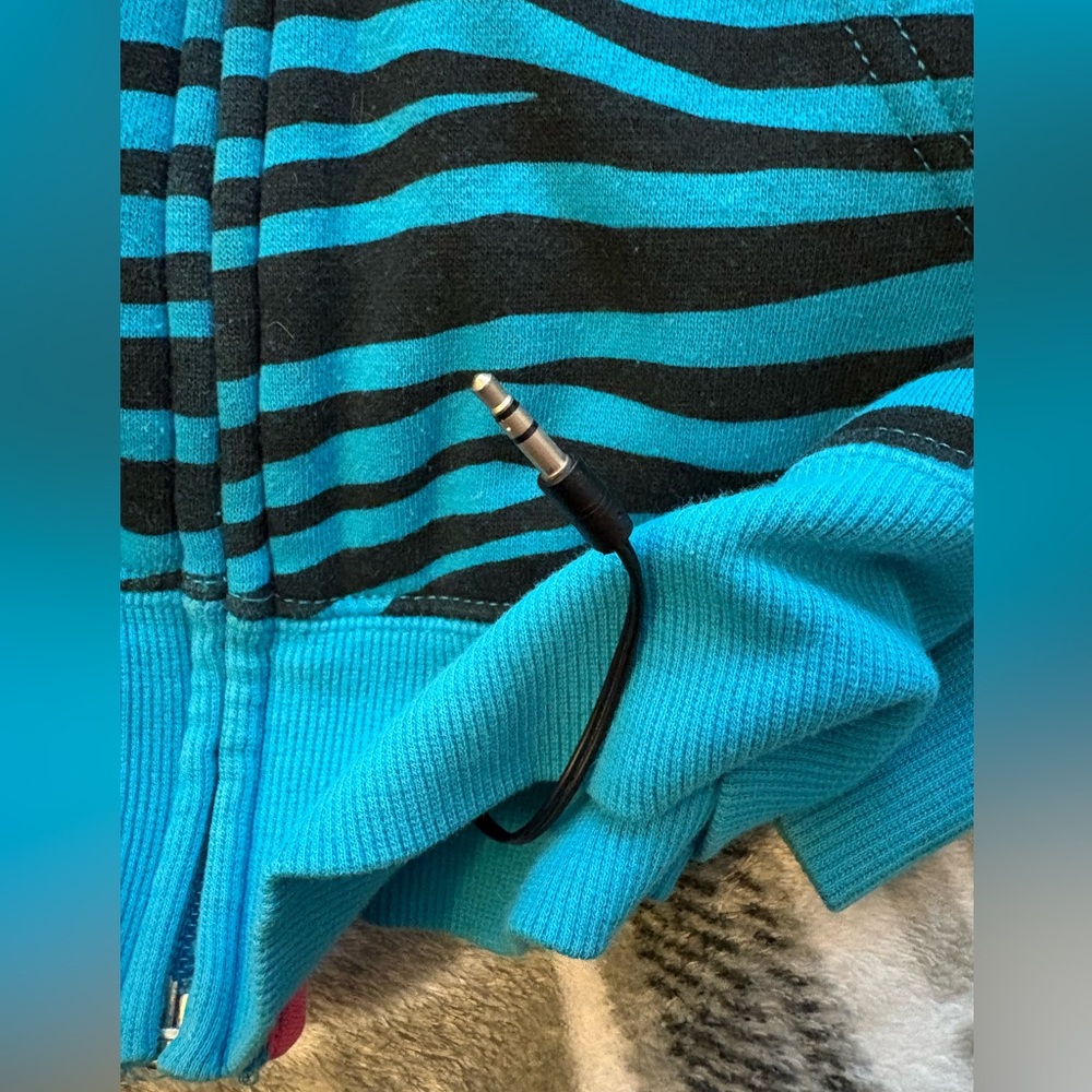 Striped Teal and Black Hoodie - Picture 5 of 7